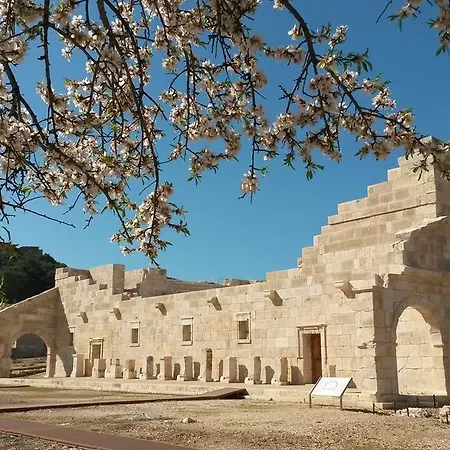 Camelion Nocleg ze śniadaniem Gelemiş
