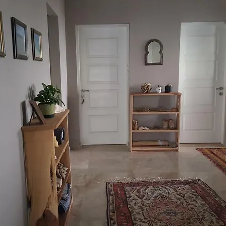 Camelion * Gelemiş