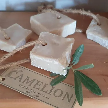 Bed & Breakfast Camelion *